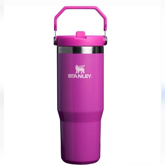 Stanley Other - Stanley 30 Oz. Iceflow Flip Straw Tumbler